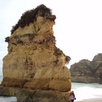 Milena Firmino's Photo