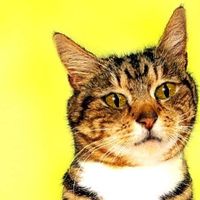 Фотографии пользователя Katarzyna Rodak