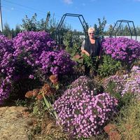 Ольга Прохач的照片