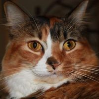 Photos de Kubilay Yagiz