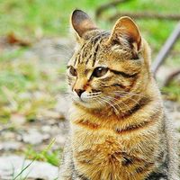 石書亭 NiaB's Photo