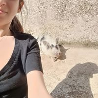 Elisabetta Porcarelli's Photo