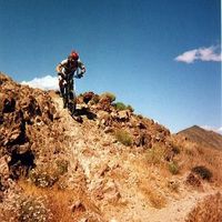 آریا فردمنش's Photo