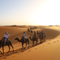 Le foto di IBrahim Del desierto