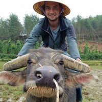 Le foto di Henk-jan Vd Knijff