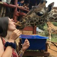 Ania Blaszkiewicz的照片