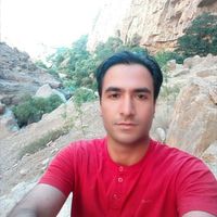 mehran baharlo的照片