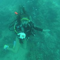 Laura McTaggart's Photo