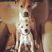 Kelly Powers的照片