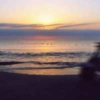 Josh Sperling的照片