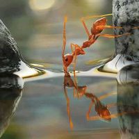 Hanna Michajlowicz的照片