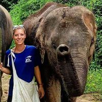 Deborah Klein的照片