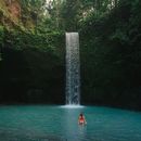 Ubud Day Trip - Waterfall, Temple & Rice Terrace's picture