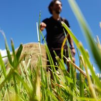 Fotos von Max Travel