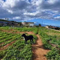 Daniel Curbelo的照片