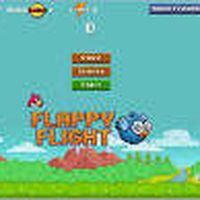flappy flight's Photo