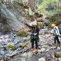 Chiyo Takemori的照片