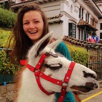 Diane Ferotin的照片