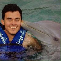 David Beltran的照片