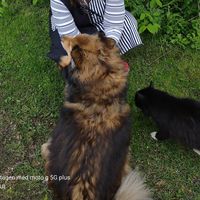 Fotos de Ulla Linder