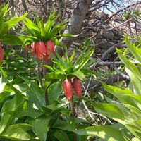 yahya Baqeri's Photo