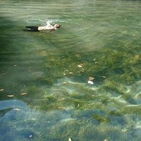 Anjuli Sirena's Photo