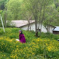 Fotos de Saghar Saeidi