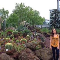 Natalie Pollock's Photo