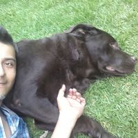 Jaime López的照片