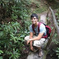 David Fraser的照片