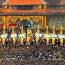 Thrissur Pooram-2025的照片