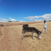 Melissa Lorena's Photo