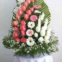 salma blmier's Photo