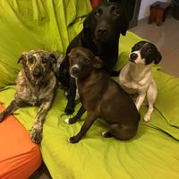 Estefania Álvarez Jiménez's Photo