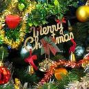 Xmas Eve Nightout!'s picture