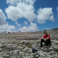 arif Zengin的照片