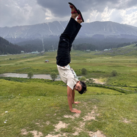 Dina Cohen's Photo