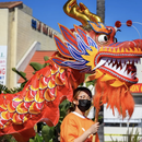 Asian Garden's 2026 Flower Festival's picture