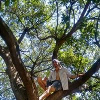 Gabriel Nunes的照片