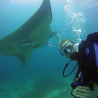 Fotos de Gaël Dichamp