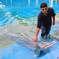 Мayur Ravaliya's Photo