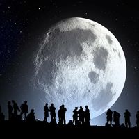 Mahmoud Alreffai's Photo