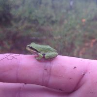 Kevin Guillemette (Integrity Acres)'s Photo