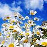 Sholpan Yessenbayeva's Photo