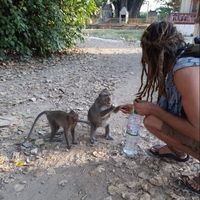 Stefan Marovic的照片