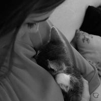 Heidi Midjord的照片