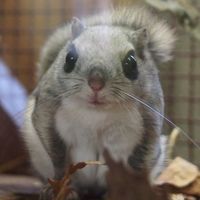 Фотографии пользователя Yukari Mukumoto