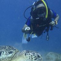 Mohamed Hussein的照片