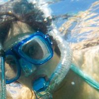 Marissa Pedersen's Photo