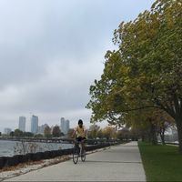 Vaibhav Chawale的照片